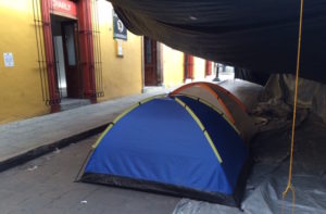 planton seccion 22
