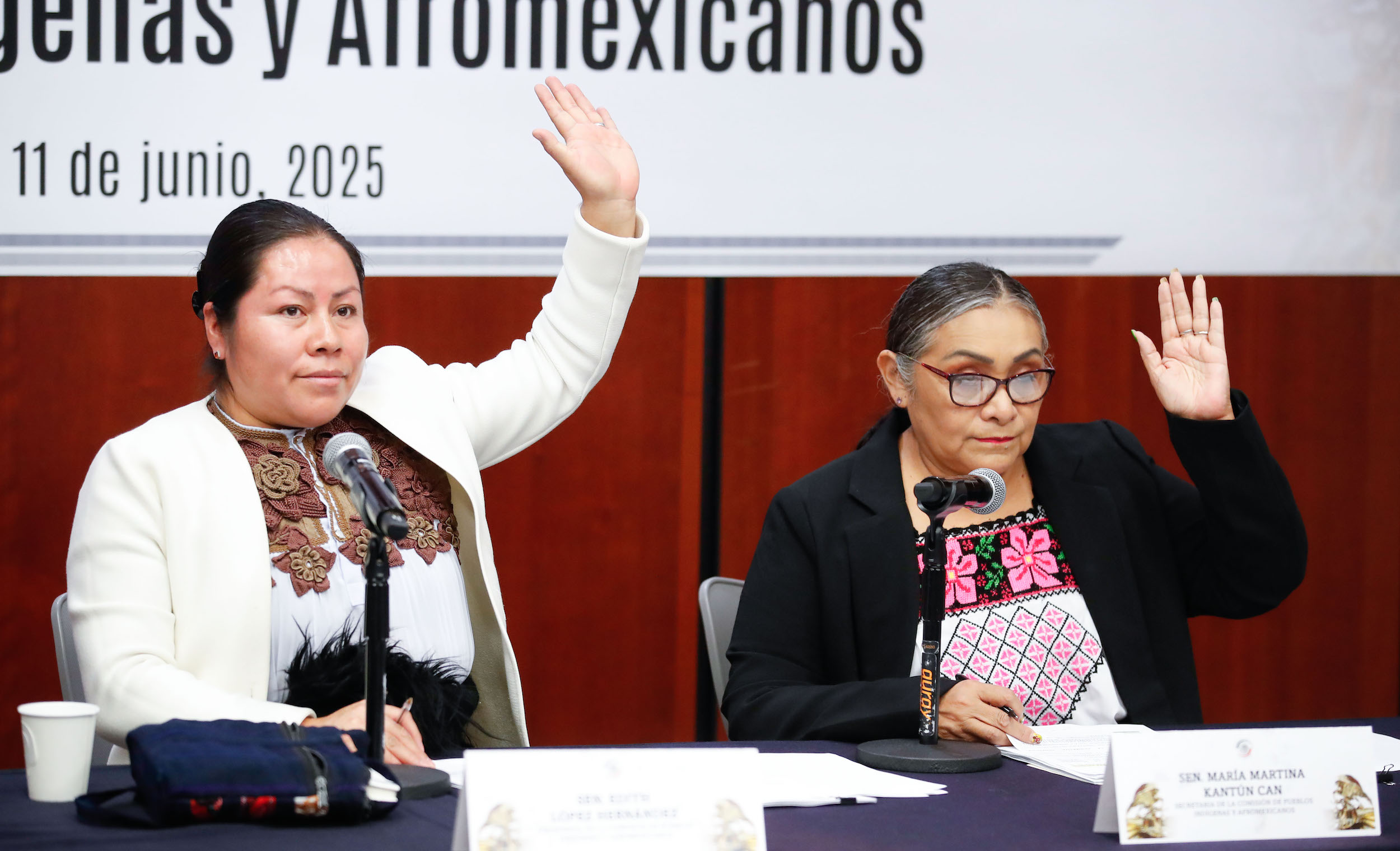 El Senado aprueba una reforma para fortalecer los derechos de las mujeres indígenas y afromexicanas